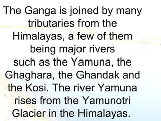 The Ganga is joined by many 
tributaries from the 
Himalayas, a few of them 
being major rivers 
such as the Yamuna, the 
Ghaghara, the Ghandak and 
the Kosi. The river Yamuna 
rises from the Yamunotri 
Glacier in the Himalayas. 
 
