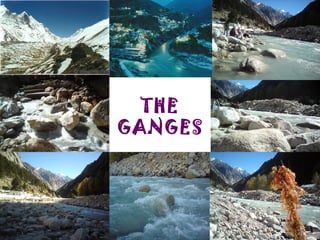 THE
GANGES
 