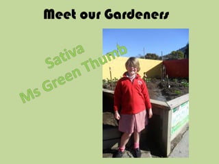 Meet our Gardeners Sativa Ms Green Thumb 