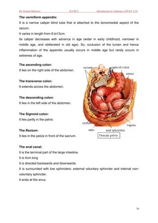 Dr. Kamal Motawei                      H.I.M.T.       Introduction to Anatomy (ANAT 215)

The vermiform appendix:
It is a narrow caliper blind tube that is attached to the dorsomedial aspect of the
cecum.
It varies in length from 8 to13cm.
Its caliper decreases with advance in age (wider in early childhood, narrower in
middle age, and obliterated in old age). So, occlusion of the lumen and hence
inflammation of the appendix usually occurs in middle age but rarely occurs in
extremes of age.

The ascending colon:
It lies on the right side of the abdomen.


The transverse colon:
It extends across the abdomen.


The descending colon:
It lies in the left side of the abdomen.


The Sigmoid colon:
It lies partly in the pelvis


The Rectum:
It lies in the pelvis in front of the sacrum.


The anal canal:
It is the terminal part of the large intestine.
It is 4cm long
It is directed backwards and downwards.
It is surrounded with tow sphincters: external voluntary sphincter and internal non-
voluntary sphincter.
It ends at the anus.




                                                                                      70
 
