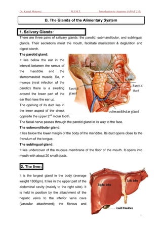 Dr. Kamal Motawei                     H.I.M.T.          Introduction to Anatomy (ANAT 215)


                    B. The Glands of the Alimentary System


1. Salivary Glands:
There are three pairs of salivary glands: the parotid, submandibular, and sublingual
glands. Their secretions moist the mouth, facilitate mastication & deglutition and
digest starch.
The parotid gland:
It lies below the ear in the
interval between the ramus of
the    mandible       and    the
sternomastoid muscle. So, in
mumps (viral infection of the
parotid) there is a swelling
around the lower part of the
ear that rises the ear up.
The opening of its duct lies in
the inner aspect of the check
opposite the upper 2nd molar tooth.
The facial nerve passes through the parotid gland in its way to the face.
The submandibular gland:
It lies below the lower margin of the body of the mandible. Its duct opens close to the
frenulum of the tongue.
The sublingual gland:
It lies undercover of the mucous membrane of the floor of the mouth. It opens into
mouth with about 20 small ducts.


2. The liver:

It is the largest gland in the body (average
weight 1800gm). It lies in the upper part of the
abdominal cavity (mainly to the right side). It
is held in position by the attachment of the
hepatic veins to the inferior vena cava
(vascular    attachment);    the   fibrous   and


                                                                                        71
 