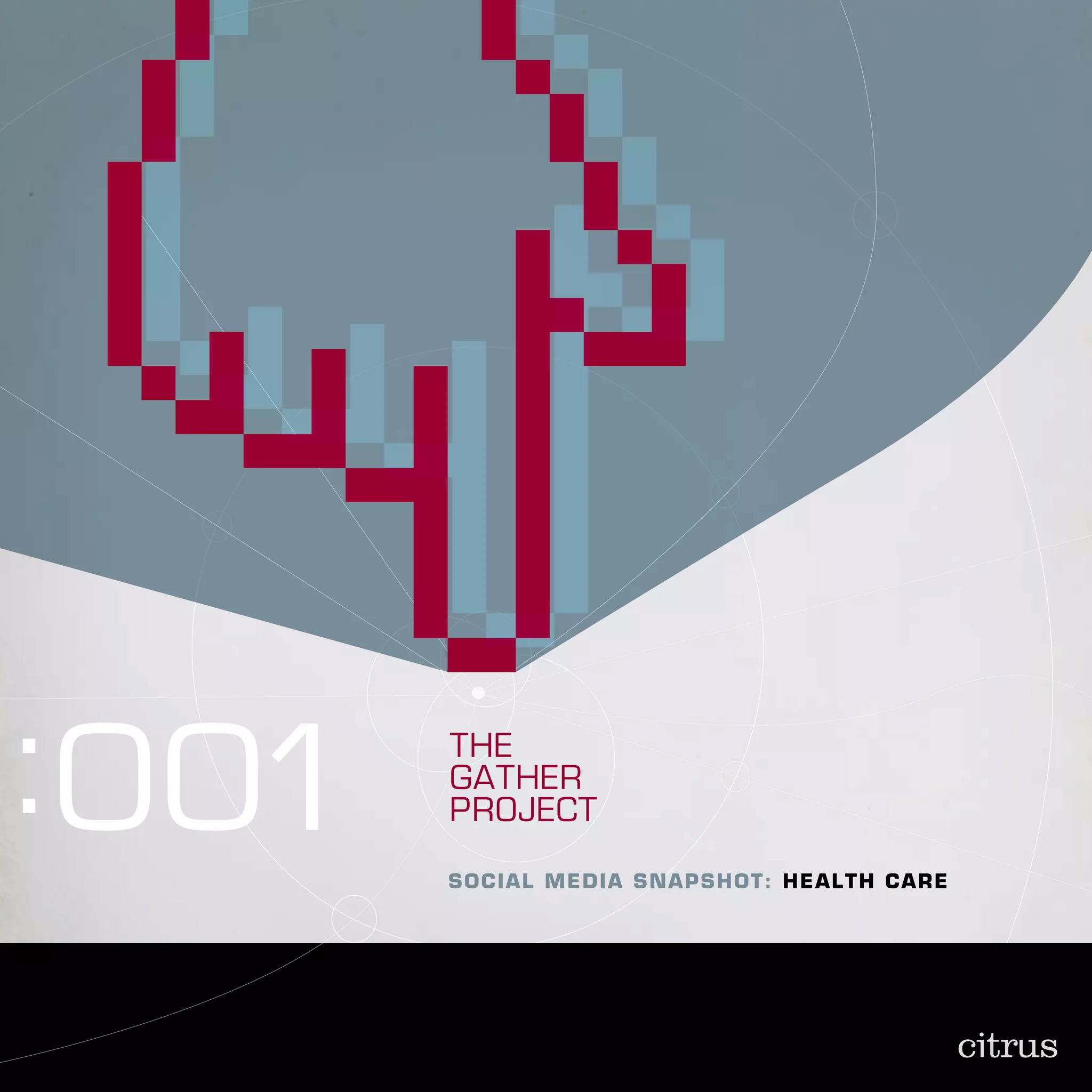 :001       THE
           GATHER
           PROJECT

           S o c i a l M e d i a S n a pS h o t : he a l t h c a r e




       1
 