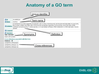 Anatomy of a GO term
Unique identifierUnique identifier
Term nameTerm name
DefinitionDefinitionSynonymsSynonyms
Cross-referencesCross-references
 
