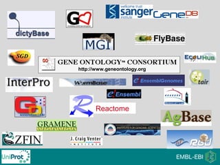 Reactome
http://www.geneontology.org
 