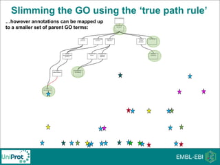 Slimming the GO using the ‘true path rule’
…however annotations can be mapped up
to a smaller set of parent GO terms:
 