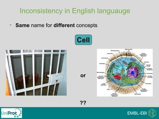 Inconsistency in English languauge
• Same name for different concepts
or
??
Cell
 