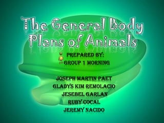 The General Body Plans of Animals Prepared by: Group 1 Morning  Joseph Martin Paet Gladys Kim Remolacio  Jesebel Garlan Ruby Cocal Jeremy Nacido 