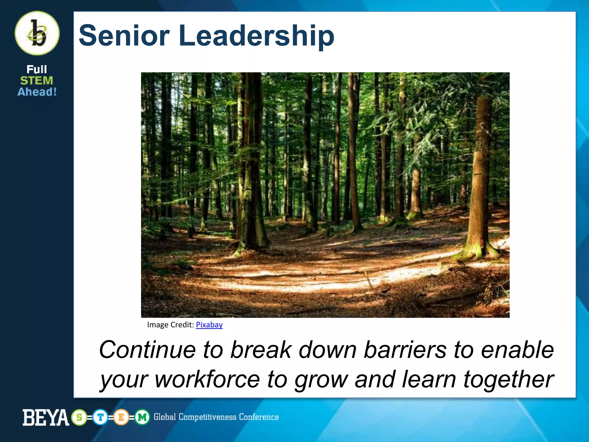 Continue to break down barriers to enable
your workforce to grow and learn together
Senior Leadership
Image Credit: Pixabay
 