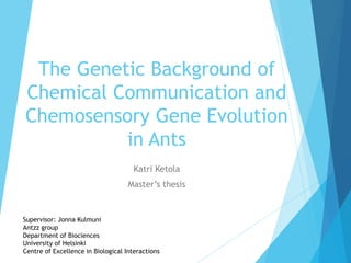 The Genetic Background of
Chemical Communication and
Chemosensory Gene Evolution
in Ants
Katri Ketola
Master’s thesis
Supervisor: Jonna Kulmuni
Antzz group
Department of Biociences
University of Helsinki
Centre of Excellence in Biological Interactions
 