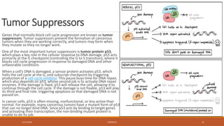 The Genetic Basis of Cancer | PPTX