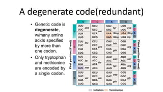 A degenerate code(redundant)