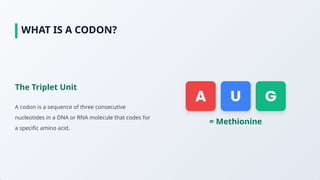 Comprehensive Exploration of the Genetic Code and Its Biological ...