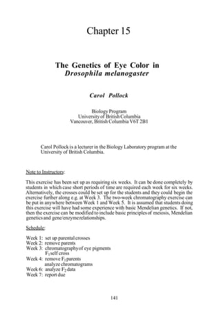 Chapter 15
The Genetics of Eye Color in
Drosophila melanogaster
Carol Pollock
BiologyProgram
Universityof British Columbia
Vancouver, British Columbia V6T 2B1
Carol Pollock is a lecturer in the Biology Laboratory program at the
University of British Columbia.
Note to Instructors:
This exercise has been set up as requiring six weeks. It can be done completely by
students in which case short periods of time are required each week for six weeks.
Alternatively, the crosses could be set up for the students and they could begin the
exercise further along e.g. at Week 3. The two-week chromatography exercise can
be put in anywhere between Week 1 and Week 5. It is assumed that students doing
this exercise will have had some experience with basic Mendelian genetics. If not,
then the exercise can be modified to include basic principlesof meiosis, Mendelian
geneticsand gene/enzymerelationships.
Schedule:
Week 1: set up parentalcrosses
Week 2: remove parents
Week 3: chromatographyof eye pigments
F1self cross
Week 4: remove F1parents
analyze chromatograms
Week 6: analyze F2 data
Week 7: report due
141
 