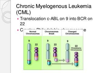The Genetics of Cancer | PPTX