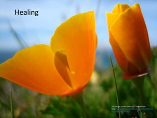 This image is used under a CC license from:
http://www.flickr.com/photos/erutan/418693544/si
zes/l/in/photostream/.
Healing
 