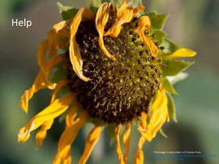 This image is used under a CC license from:
http://www.flickr.com/photos/guest_family/329209116
7/sizes/o/in/photostream/
Help
 