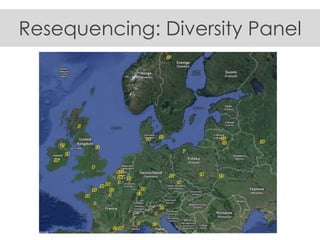 Resequencing: Diversity Panel
 