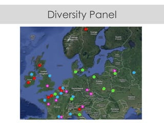 Diversity Panel
 
