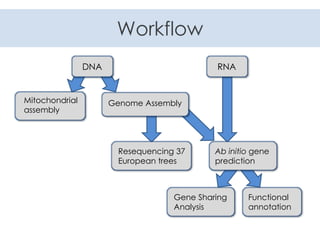 Workflow
DNA RNA
Genome AssemblyMitochondrial
assembly
Ab initio gene
prediction
Functional
annotation
Gene Sharing
Analys...