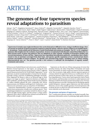ARTICLE OPEN
doi:10.1038/nature12031
The genomes of four tapeworm species
reveal adaptations to parasitism
Isheng J. Tsai1,2
*, Magdalena Zarowiecki1
*, Nancy Holroyd1
*, Alejandro Garciarrubio3
*, Alejandro Sanchez-Flores1,3
,
Karen L. Brooks1
, Alan Tracey1
, Rau´l J. Bobes4
, Gladis Fragoso4
, Edda Sciutto4
, Martin Aslett1
, Helen Beasley1
, Hayley M. Bennett1
,
Jianping Cai5
, Federico Camicia6
, Richard Clark1
, Marcela Cucher6
, Nishadi De Silva1
, Tim A. Day7
, Peter Deplazes8
, Karel Estrada3
,
Cecilia Ferna´ndez9
, Peter W. H. Holland10
, Junling Hou5
, Songnian Hu11
, Thomas Huckvale1
, Stacy S. Hung12
, Laura Kamenetzky6
,
Jacqueline A. Keane1
, Ferenc Kiss13
, Uriel Koziol13
, Olivia Lambert1
, Kan Liu11
, Xuenong Luo5
, Yingfeng Luo11
, Natalia Macchiaroli6
,
Sarah Nichol1
, Jordi Paps10
, John Parkinson12
, Natasha Pouchkina-Stantcheva14
, Nick Riddiford14,15
, Mara Rosenzvit6
,
Gustavo Salinas9
, James D. Wasmuth16
, Mostafa Zamanian17
, Yadong Zheng5
, The Taenia solium Genome Consortium{,
Xuepeng Cai5
, Xavier Sobero´n3,18
, Peter D. Olson14
, Juan P. Laclette4
, Klaus Brehm13
& Matthew Berriman1
Tapeworms (Cestoda) cause neglected diseases that can be fatal and are difficult to treat, owing to inefficient drugs. Here
we present an analysis of tapeworm genome sequences using the human-infective species Echinococcus multilocularis,
E. granulosus, Taenia solium and the laboratory model Hymenolepis microstoma as examples. The 115- to 141-megabase
genomes offer insights into the evolution of parasitism. Synteny is maintained with distantly related blood flukes but we
find extreme losses of genes and pathways that are ubiquitous in other animals, including 34 homeobox families and
several determinants of stem cell fate. Tapeworms have specialized detoxification pathways, metabolism that is finely
tuned to rely on nutrients scavenged from their hosts, and species-specific expansions of non-canonical heat shock
proteins and families of known antigens. We identify new potential drug targets, including some on which existing
pharmaceuticals may act. The genomes provide a rich resource to underpin the development of urgently needed
treatments and control.
Echinococcosis (hydatid disease) and cysticercosis, caused by the pro-
liferation of larval tapeworms in vital organs1
, are among the most
severeparasiticdiseasesinhumansandaccountfor2 ofthe17neglected
tropical diseases prioritized by the World Health Organization2
. Larval
tapeworms can persist asymptomatically in a human host for decades3
,
eventually causing a spectrum of debilitating pathologies and death1
.
When diagnosed, the disease is often at an advanced stage at which
surgery is no longer an option4
. Tapeworm infections are highly pre-
valent worldwide5
, and their human disease burden has been estimated
at 1 million disability-adjusted life years, comparable with African
trypanosomiasis,riverblindnessand dengue fever. Furthermore,cystic
echinococcosis in livestock causes an annual loss of US$2 billion6
.
Tapeworms (Platyhelminthes, Cestoda) are passively transmitted
between hosts and parasitize virtually every vertebrate species7
. Their
morphological adaptations to parasitism include the absence of a gut,
a head and light-sensing organs, and they possess a unique surface
(tegument) that is able to withstand host-stomach acid and bile but is
still penetrable enough to absorb nutrients7
.
Tapeworms are the only one of three major groups of worms that
parasitize humans, the others being flukes (Trematoda) and round
worms (Nematoda), for which no genome sequence has been available
so far. Here we present a high-quality reference tapeworm genome of
a human-infective fox tapeworm Echinococcus multilocularis. We also
present the genomes of three other species, for comparison; E. granu-
losus (dog tapeworm), Taenia solium (pork tapeworm), both of which
infect humans, and Hymenolepis microstoma (a rodent tapeworm and
laboratory model for the human parasite Hymenolepis nana). We have
mined the genomes to provide a starting point for developing urgently
needed therapeutic measures against tapeworms and other parasitic
flatworms. Access to the complete genomes of several tapeworms will
accelerate the pace at which new tools and treatments to combat tape-
worm infections can be discovered.
The genomes and genes of tapeworms
The E. multilocularis genome assembly was finished manually (Sup-
plementary Information, section 2), producing a high-quality reference
*These authors contributed equally to this work.
{Lists of participants and their affiliations appear at the end of the paper.
1
Parasite Genomics,Wellcome TrustSanger Institute, WellcomeTrust GenomeCampus, Hinxton,Cambridge CB101SA, UK. 2
Division of Parasitology, Departmentof Infectious Disease,Faculty of Medicine,
University of Miyazaki, Miyazaki 889-1692, Japan. 3
Institute of Biotechnology, Universidad Nacional Auto´noma de Me´xico, Cuernavaca, Morelos 62210, Me´xico. 4
Institute of Biomedical Research,
Universidad Nacional Auto´noma de Me´xico, 04510 Me´xico D.F., Me´xico. 5
State Key Laboratory of Veterinary Etiological Biology, Key Laboratory of Veterinary Parasitology of Gansu Province, Lanzhou
Veterinary Research Institute, Chinese Academy of Agricultural Sciences, No. 1 Xujiaping, Chengguan District, Lanzhou 730046, Gansu Province, China. 6
Instituto de Microbiologı´a y Parasitologı´a Me´dica,
Universidad de Buenos Aires-Consejo Nacional de Investigaciones Cientı´ficas y Tecnolo´gicas (IMPaM, UBA-CONICET). Facultad de Medicina, Paraguay 2155, C1121ABG Buenos Aires, Argentina.
7
Department of Biomedical Sciences, Iowa State University, Ames, Iowa 50011, USA. 8
Institute of Parasitology, Vetsuisse Faculty, University of Zu¨rich, Winterthurerstrasse 266a, CH-8057 Zu¨rich,
Switzerland. 9
Ca´tedra de Inmunologa´, Facultad de Qua´mica, Universidad de la Repu´blica. Avenida Alfredo Navarro 3051, piso 2, Montevideo, CP 11600, Uruguay. 10
Department of Zoology, University of
Oxford, South Parks Road, Oxford OX1 3PS, UK. 11
Beijing Institute of Genomics, Chinese Academy of Sciences, No.7 Beitucheng West Road, Chaoyang District, Beijing 100029, China. 12
Department of
Biochemistry & Molecular and Medical Genetics, University of Toronto, Program in Molecular Structure and Function, The Hospital for Sick Children, Toronto, Ontario M5G 1X8, Canada. 13
University of
Wu¨rzburg, Institute of Hygiene and Microbiology, D-97080 Wu¨rzburg, Germany. 14
Department of Life Sciences, The Natural History Museum, Cromwell Road, London SW7 5BD, UK. 15
Department of
Zoology, School of Natural Sciences and Regenerative Medicine Institute (REMEDI), National University of Ireland Galway, University Road, Galway, Ireland. 16
Department of Ecosystem and Public Health,
Faculty of Veterinary Medicine, University of Calgary, Calgary T2N 4Z6, Canada. 17
Institute of Parasitology, McGill University, 2111 Lakeshore Road, Ste Anne de Bellevue, Quebec H9X 3V9, Canada.
18
Instituto Nacional de Medicina Geno´mica, Perife´rico Sur No. 4809 Col. Arenal Tepepan, Delegacio´n Tlalpan, 14610 Me´xico, D.F., Me´xico.
0 0 M O N T H 2 0 1 3 | V O L 0 0 0 | N A T U R E | 1
Macmillan Publishers Limited. All rights reserved©2013
 