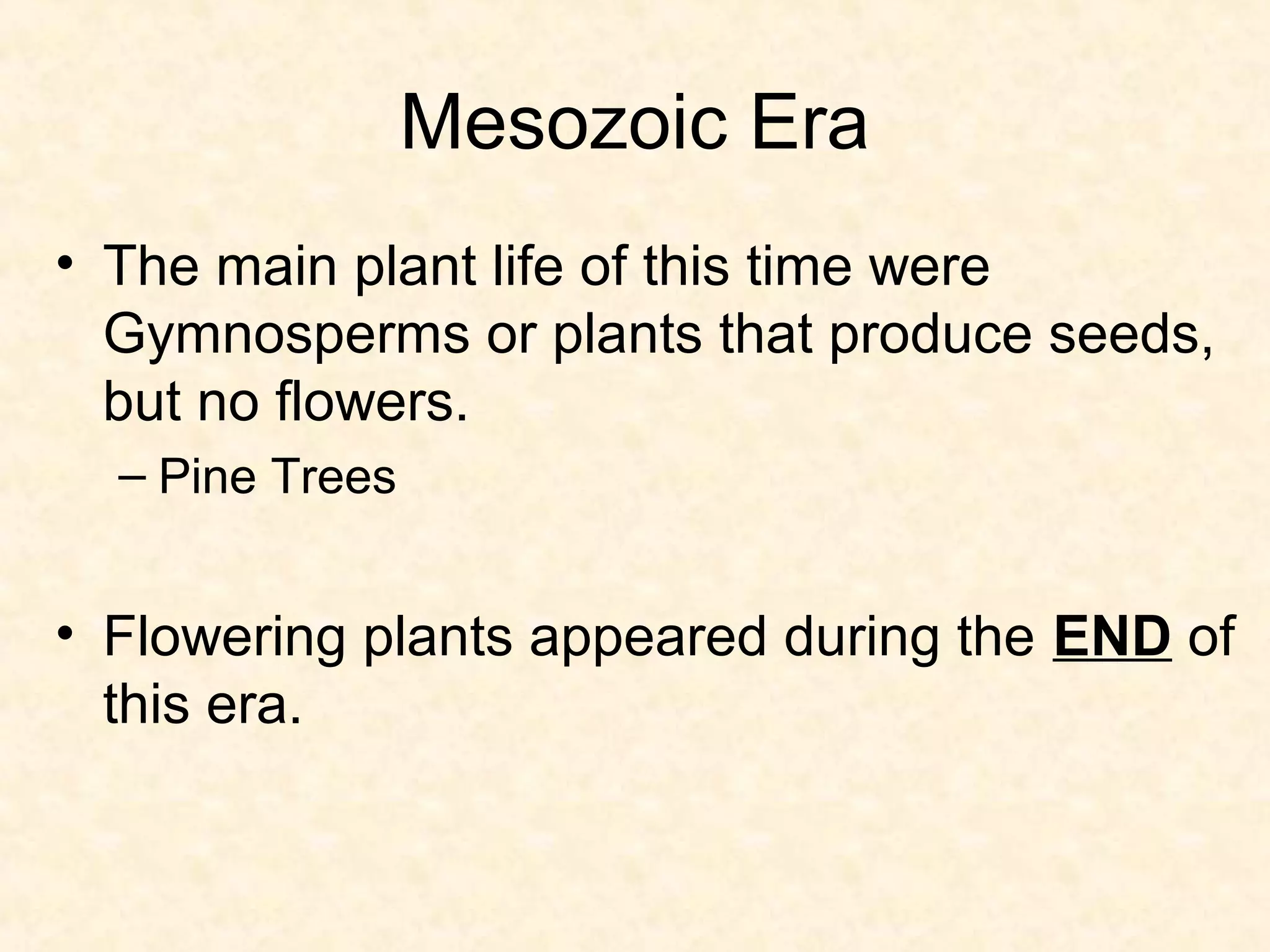Mesozoic Era
• The main plant life of this time were
  Gymnosperms or plants that produce seeds,
  but no flowers.
  – Pine Trees


• Flowering plants appeared during the END of
  this era.
 