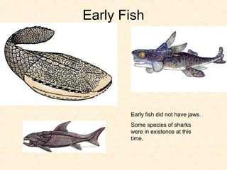Early Fish




       Early fish did not have jaws.
       Some species of sharks
       were in existence at this
       time.
 