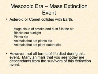 Mesozoic Era – Mass Extinction
              Event
• Asteroid or Comet collides with Earth.

  –   Huge cloud of smoke and dust fills the air
  –   Blocks out sunlight
  –   Plants die
  –   Animals that eat plants die
  –   Animals that eat plant-eaters die.

• However, not all forms of life died during this
  event. Many animals that you see today are
  descendants from the survivors of this extinction
  event.
 