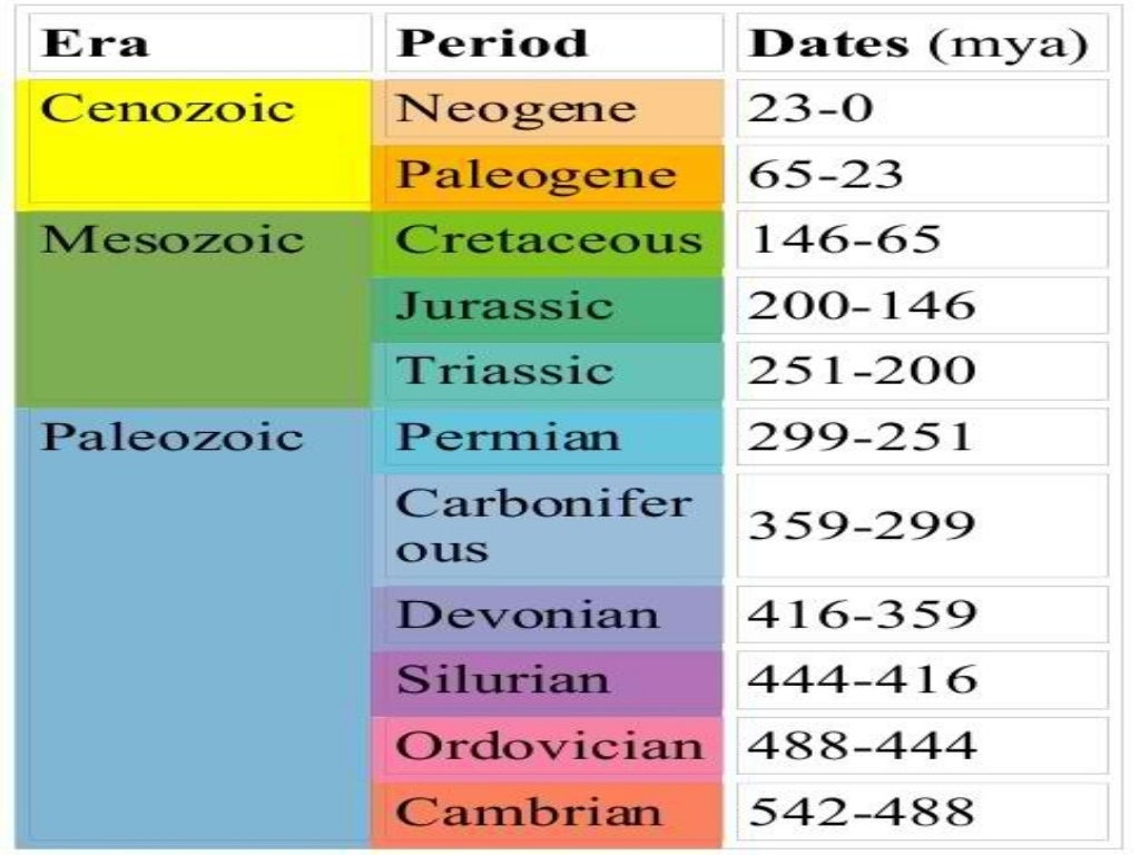 The geological time scale