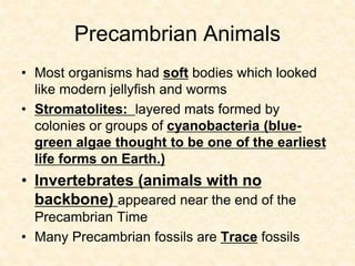 • WHy do we have separations of eons
and eras?
•
• What do you think happens to
organisms after a mass extinction?
 