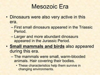 Mesozoic Reptiles
 