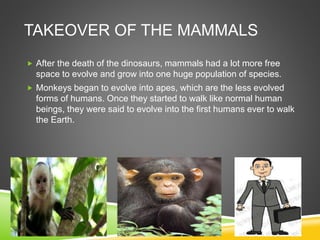 TAKEOVER OF THE MAMMALS
 After the death of the dinosaurs, mammals had a lot more free
space to evolve and grow into one huge population of species.
 Monkeys began to evolve into apes, which are the less evolved
forms of humans. Once they started to walk like normal human
beings, they were said to evolve into the first humans ever to walk
the Earth.
 