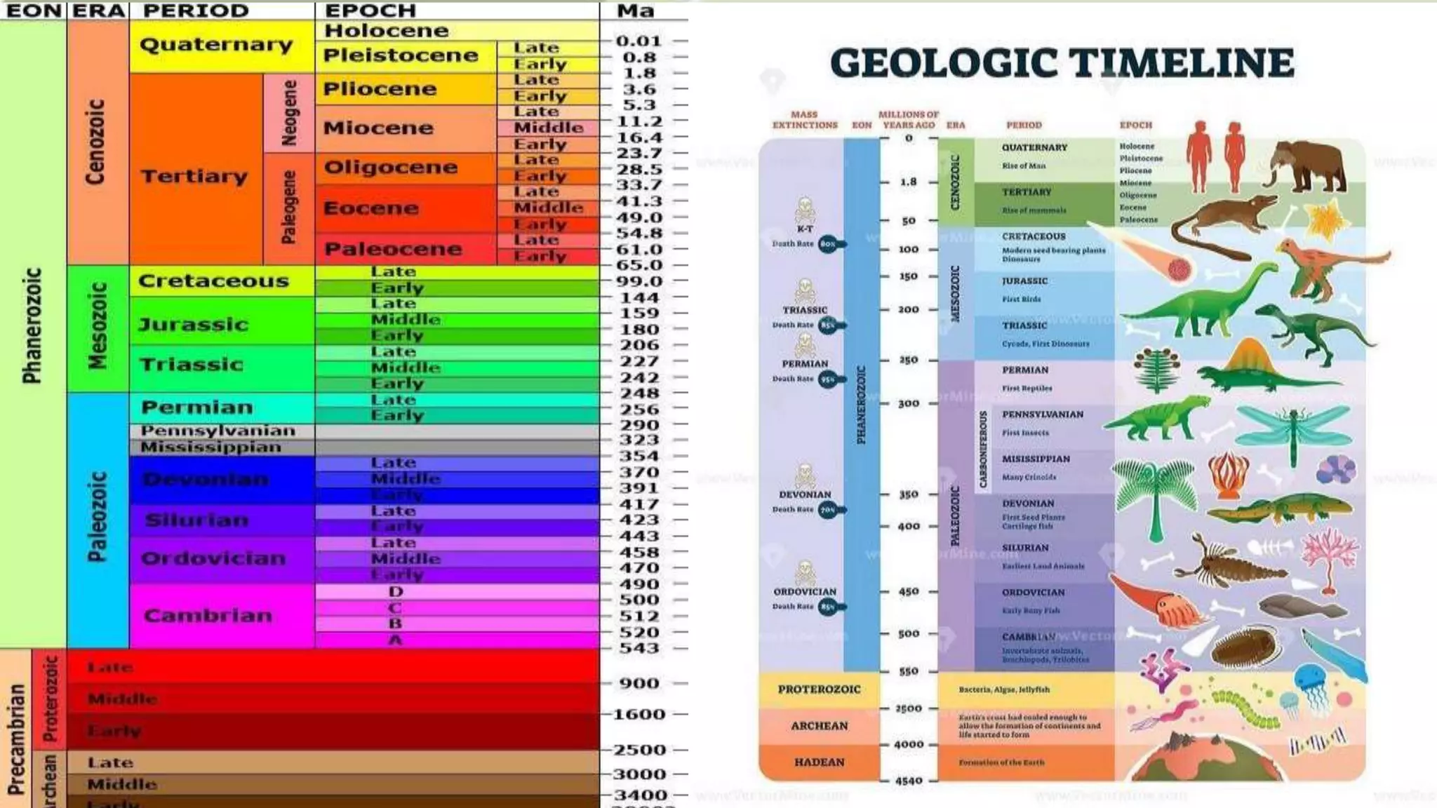 The Geologic Time Scale .pptx | Geology | Science