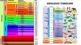 The Geologic Time Scale .pptx