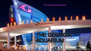 The worlds largest fish tank
 