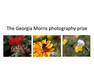 The Georgia Morris photography prize
 