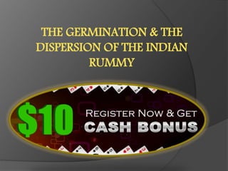THE GERMINATION & THE
DISPERSION OF THE INDIAN
RUMMY
 
