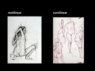 rectilinear curvilinear
 