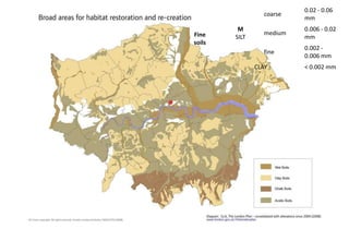 Fine
soils
M
SILT
coarse
0.02 - 0.06
mm
medium
0.006 - 0.02
mm
fine
0.002 -
0.006 mm
CLAY < 0.002 mm
 