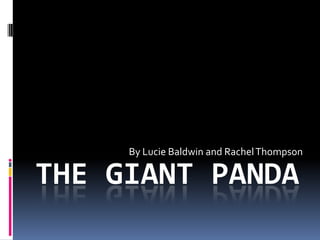 THE GIANT PANDA By Lucie Baldwin and Rachel Thompson 