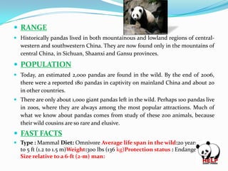  RANGE
 Historically pandas lived in both mountainous and lowland regions of centralwestern and southwestern China. They are now found only in the mountains of
central China, in Sichuan, Shaanxi and Gansu provinces.

 POPULATION
 Today, an estimated 2,000 pandas are found in the wild. By the end of 2006,
there were a reported 180 pandas in captivity on mainland China and about 20
in other countries.

 There are only about 1,000 giant pandas left in the wild. Perhaps 100 pandas live
in zoos, where they are always among the most popular attractions. Much of
what we know about pandas comes from study of these zoo animals, because
their wild cousins are so rare and elusive.

 FAST FACTS
 Type : Mammal Diet: Omnivore Average life span in the wild:20 yearsSize:4
to 5 ft (1.2 to 1.5 m)Weight:300 lbs (136 kg)Protection status : Endangered
Size relative to a 6-ft (2-m) man:

 