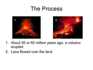 The Process About 50 or 60 million years ago, a volcano erupted Lava flowed over the land 1 2 