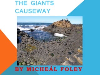 THE GIANTS 
CAUSEWAY 
BY MICHEÁL FOLEY 
 