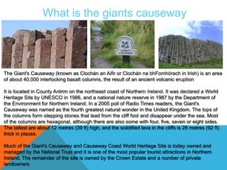 What is the giants causeway 
The Giant's Causeway (known as Clochán an Aifir or Clochán na bhFomhórach in Irish) is an area 
of about 40,000 interlocking basalt columns, the result of an ancient volcanic eruption 
It is located in County Antrim on the northeast coast of Northern Ireland. It was declared a World 
Heritage Site by UNESCO in 1986, and a national nature reserve in 1987 by the Department of 
the Environment for Northern Ireland. In a 2005 poll of Radio Times readers, the Giant's 
Causeway was named as the fourth greatest natural wonder in the United Kingdom. The tops of 
the columns form stepping stones that lead from the cliff foot and disappear under the sea. Most 
of the columns are hexagonal, although there are also some with four, five, seven or eight sides. 
The tallest are about 12 metres (39 ft) high, and the solidified lava in the cliffs is 28 metres (92 ft) 
thick in places. 
Much of the Giant's Causeway and Causeway Coast World Heritage Site is today owned and 
managed by the National Trust and it is one of the most popular tourist attractions in Northern 
Ireland. The remainder of the site is owned by the Crown Estate and a number of private 
landowners 
 