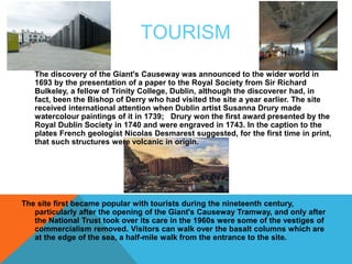 TOURISM 
The discovery of the Giant's Causeway was announced to the wider world in 
1693 by the presentation of a paper to the Royal Society from Sir Richard 
Bulkeley, a fellow of Trinity College, Dublin, although the discoverer had, in 
fact, been the Bishop of Derry who had visited the site a year earlier. The site 
received international attention when Dublin artist Susanna Drury made 
watercolour paintings of it in 1739; Drury won the first award presented by the 
Royal Dublin Society in 1740 and were engraved in 1743. In the caption to the 
plates French geologist Nicolas Desmarest suggested, for the first time in print, 
that such structures were volcanic in origin. 
The site first became popular with tourists during the nineteenth century, 
particularly after the opening of the Giant's Causeway Tramway, and only after 
the National Trust took over its care in the 1960s were some of the vestiges of 
commercialism removed. Visitors can walk over the basalt columns which are 
at the edge of the sea, a half-mile walk from the entrance to the site. 
 