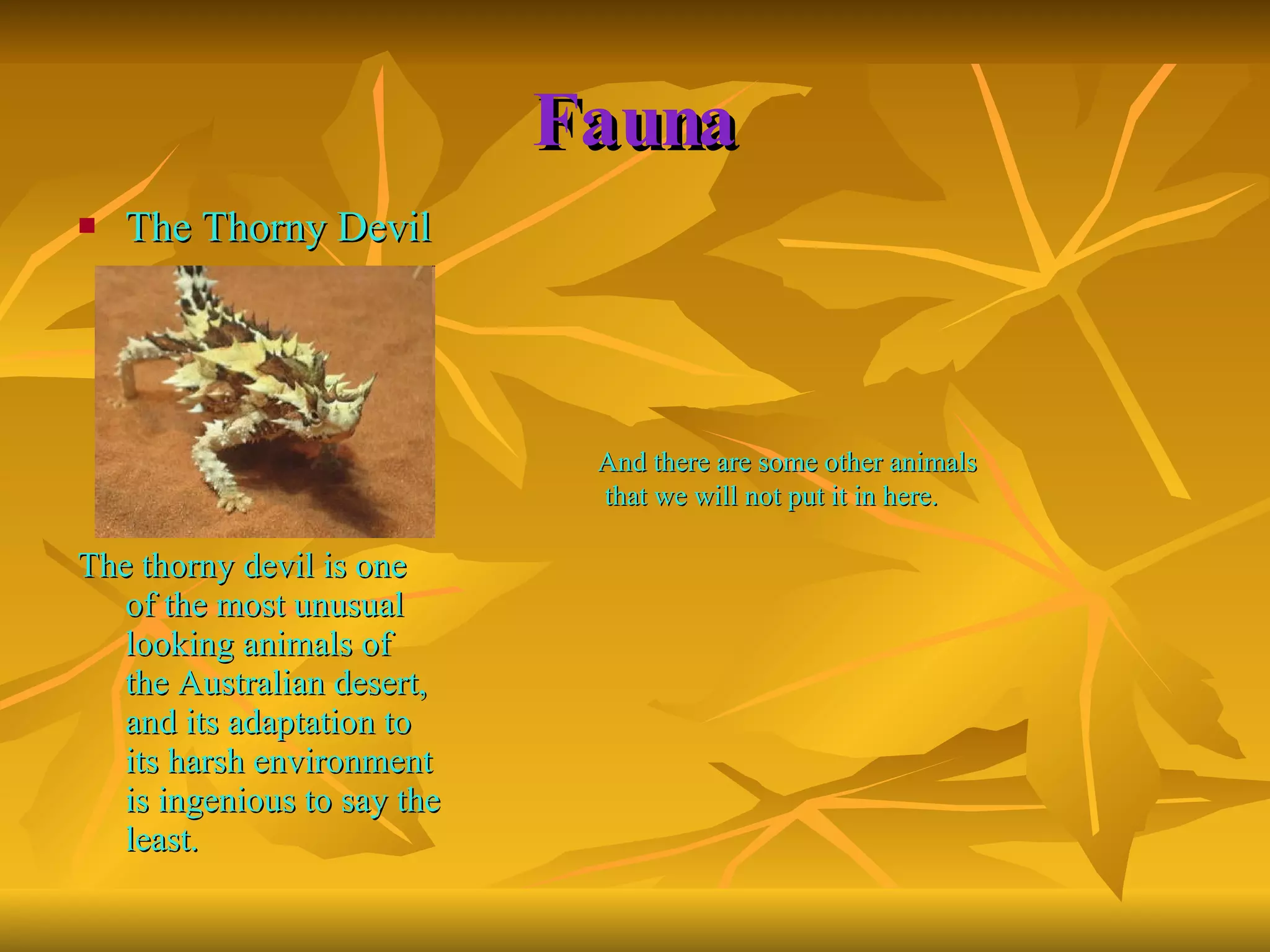 Fauna The Thorny Devil The thorny devil is one of the most unusual looking animals of the Australian desert, and its adaptation to its harsh environment is ingenious to say the least. And there are some other animals that we will not put it in here. 