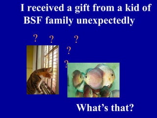 One day I received a gift from a kid of the BSF. What’s that?  ? ? ? ? ? 