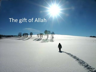 The gift of Allah
 