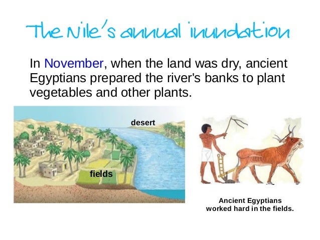 gift of the nile The nile is the longest river in the world the nile river ran down the middle of ancient egypt the nile is shaped like a lotus flower, the design seen in ancient egyptian art, math, and hieroglyphics. gift of the nile The nile is the longest river in the world the nile river ran down the middle of ancient egypt the nile is shaped like a lotus flower, the design seen in ancient egyptian art, math, and hieroglyphics.