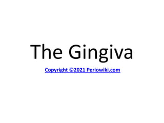 The Gingiva
Copyright ©2021 Periowiki.com
 