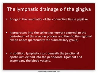 The lymphatic drainage o f the gingiva
• Brings in the lymphatics of the connective tissue papillae.
• It progresses into the collecting network external to the
periosteum of the alveolar process and then to the regional
lymph nodes (particularly the submaxillary group).
• In addition, lymphatics just beneath the junctional
epithelium extend into the periodontal ligament and
accompany the blood vessels.
Copyright ©2021 Periowiki.com
 